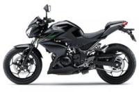 Z250/Z300