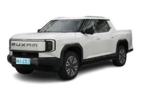 ������ͨMAXUS�Ǽ�XͼƬ