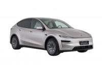Model Y L