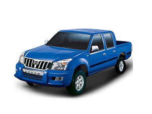2009�����100 