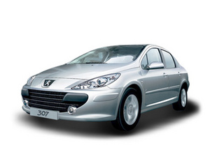 2009�����307���� 