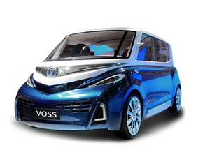 2011���VOSS 