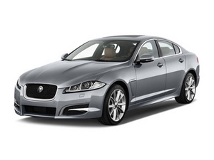 2014��ݱ�XF 