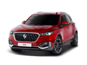 ����BX5ͼƬ