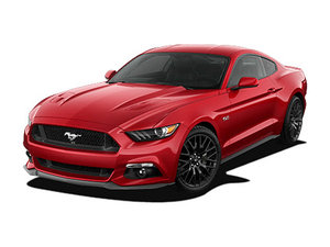 Mustang  2017款  2.3T 性能版