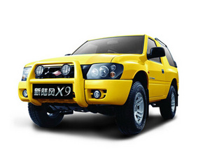2009��½��X9 
