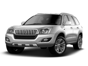 2007����ӥ 
