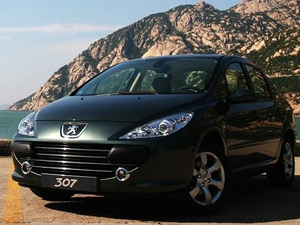 2007�����307���� 