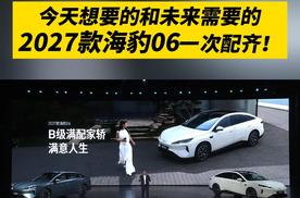 比亚迪海洋网张卓：今天想要的和未来需要的2027款海豹06一次配齐