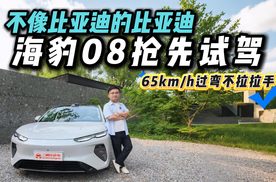 不像比亚迪的比亚迪？海豹08抢先试驾，20多万选TA值不值？