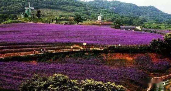 【全国营地】来辽宁这些大美露营地，来一场说走就走的旅行