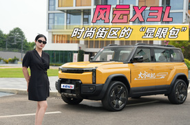 时尚街区的“显眼包”，方盒子风云X3L，就叫真国产卫士！