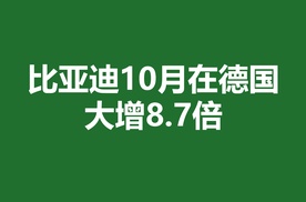 比亚迪10月在德国大增8.7倍 | 德国车市 2025年10月