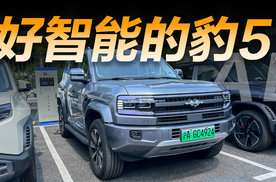 智驾星球｜居然会主动鸣笛？沉浸式体验方程豹豹5智能驾驶辅助系统