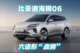 海狮06杭城上市，智驾性能双优