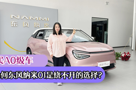 买A0级车，为何东风纳米01是绕不开的选择？对比五菱缤果后我懂了