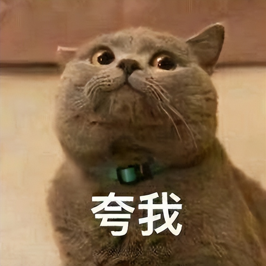 高圆圆竟然也开XC90？沃尔沃这波赢麻了