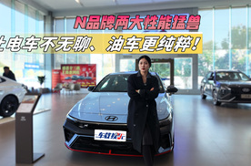 韩系两款“性能猛兽”，电动玩具IONIQ 5 N，与终极燃油Elant