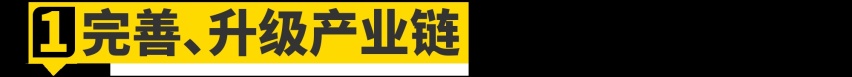 中国为什么要拯救美国特斯拉？