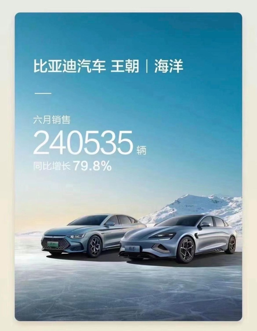 国产六大品牌上半年销量出炉：比亚迪狂卖125万辆，吉利排名第四