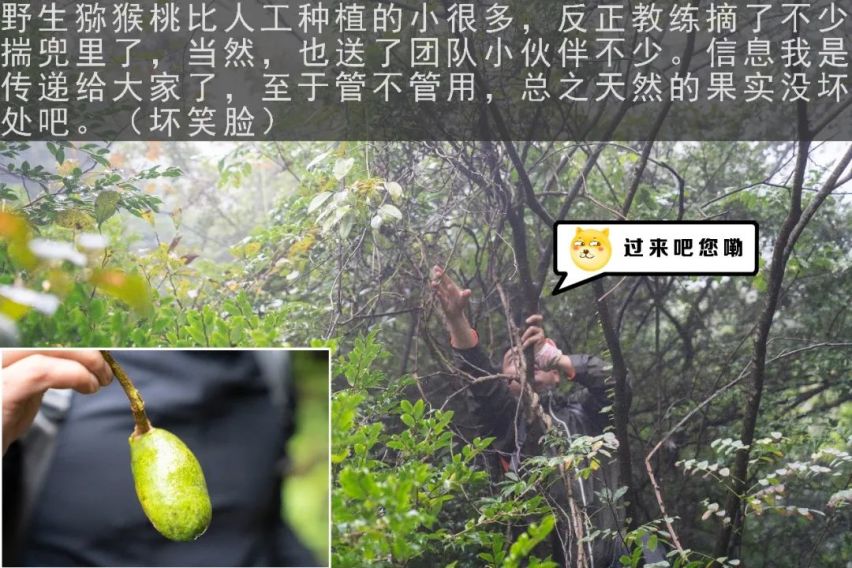 勇者之旅 雪佛兰2天1夜生存挑战游记