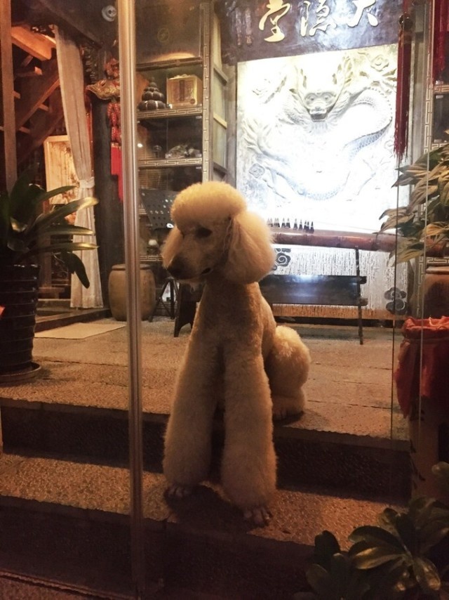 速度与稳定全都要，记一次出游行