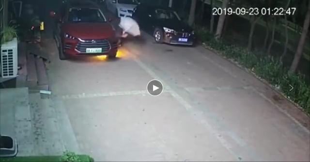 比亚迪频频被黑的背后 真的是第一难做还是另有隐情?
