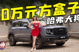 10万元的方盒子 试驾哈弗大狗