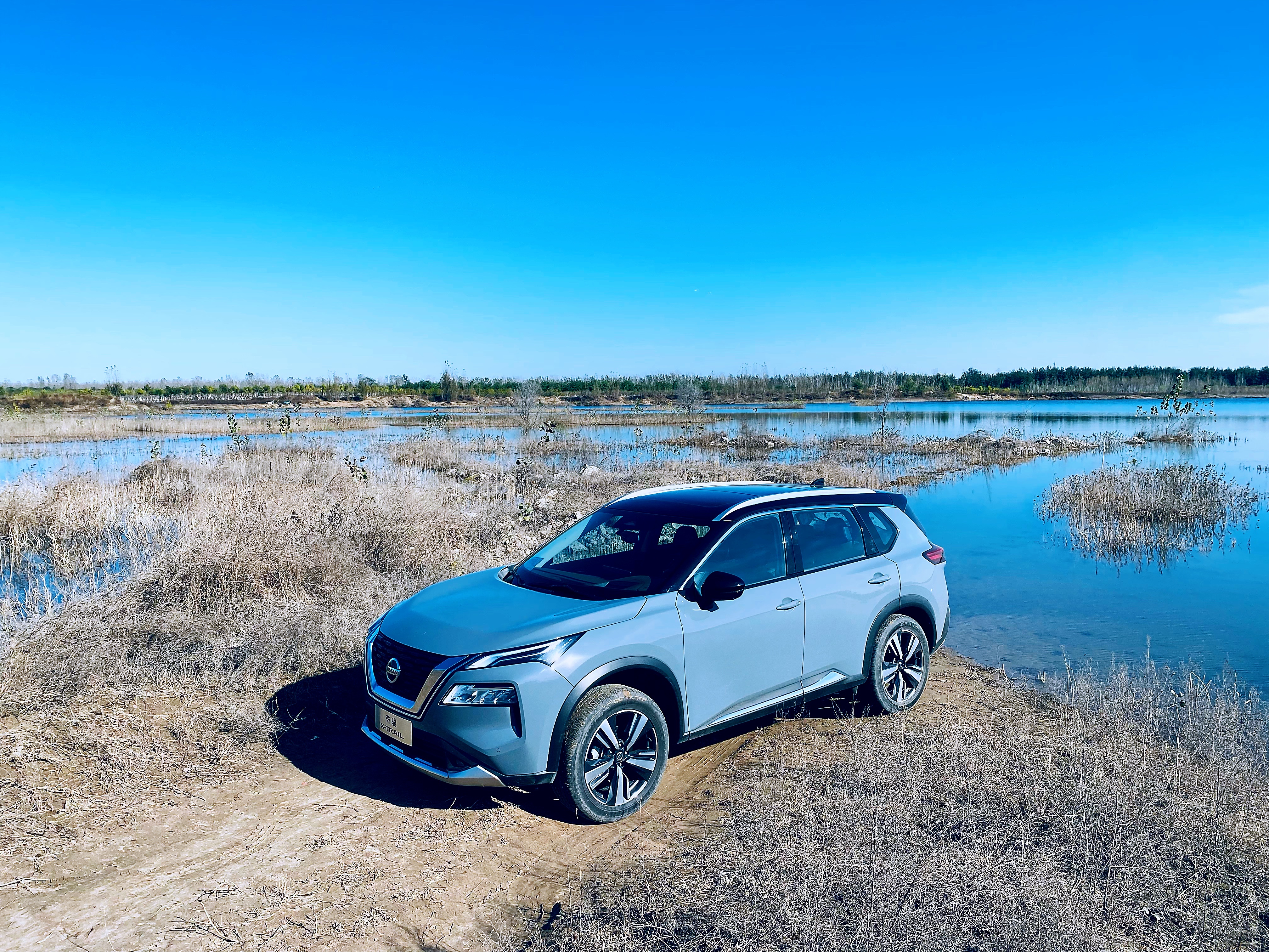 ˮƽΣȫһծa(chn)EԽҰyԇ