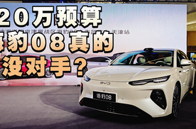 20万预算，海豹08真的没对手？