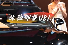 2025粤港澳大湾区车展：TVB群星齐聚比亚迪仰望展台