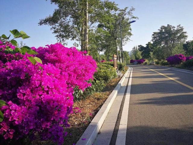 在百山之间的“魔鬼天路”上追杀霸道，有人还跑出了1.1L的油耗