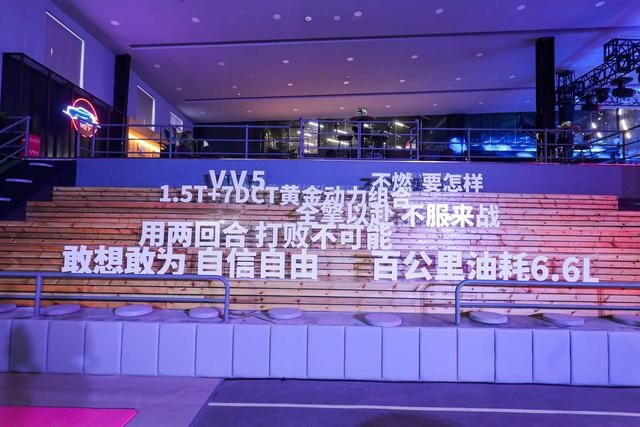 专访WEY品牌柳燕：品牌向上积蓄力量，VV5成“颜智先锋”