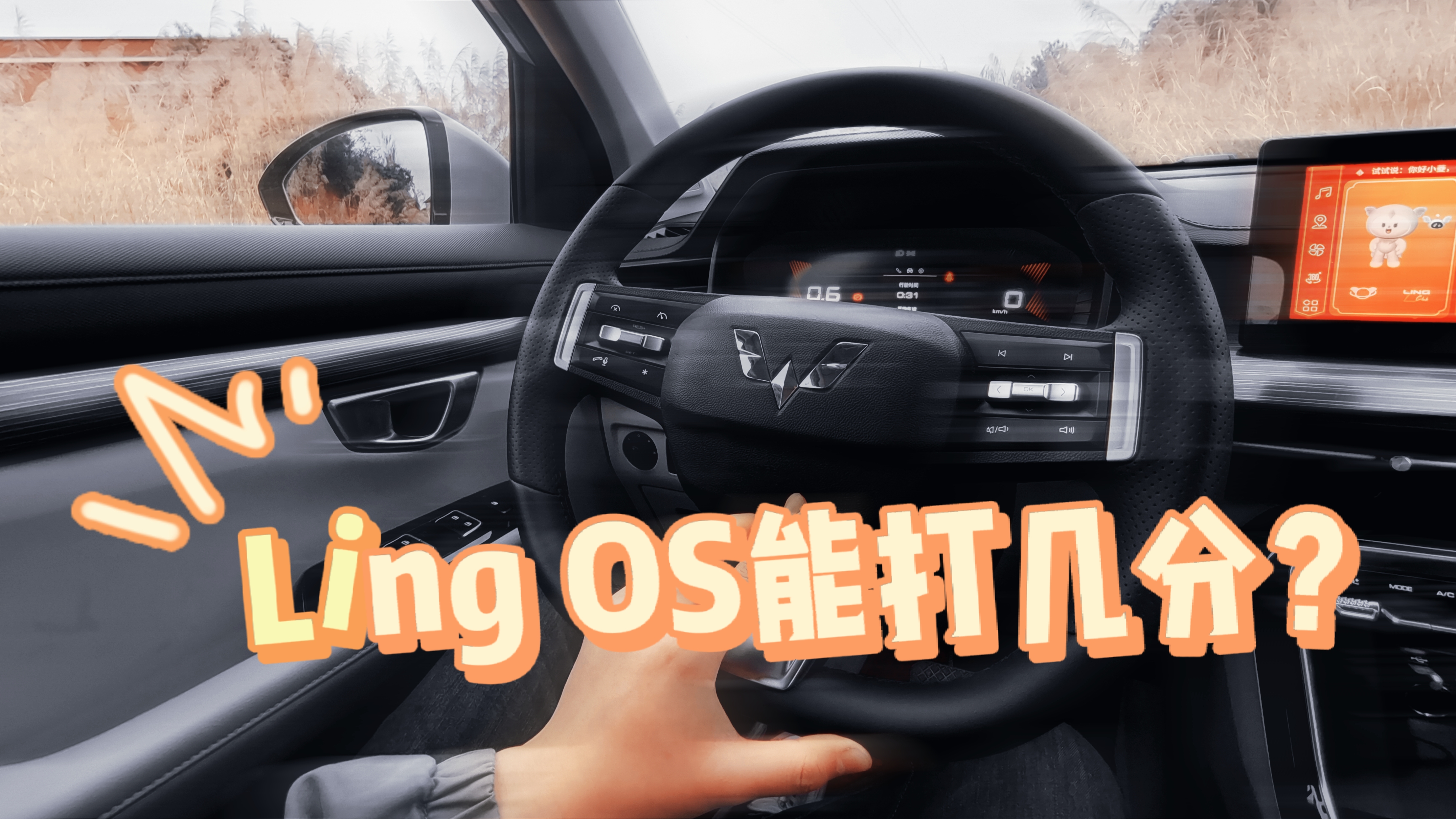 ���ĵ�һ�������ϵͳ��ô��������ã�LIng OS�Ǳ�׼��
