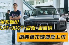 全系标配2.0T+9DCT+四驱+差速锁，哈弗猛龙燃油版上市