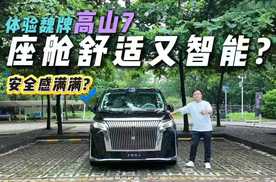 身材小一圈空间会受影响？抢先体验魏牌高山7，安全和用料给足？