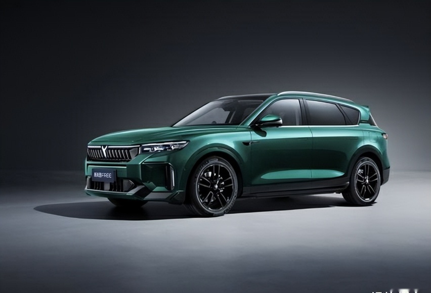 自驾游首选大五座SUV，新岚图FREE，国庆出行最优选择！