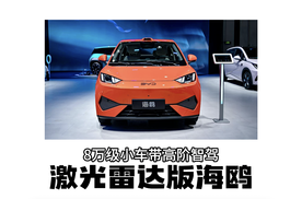 8万级小车带激光雷达，海鸥开启智驾平权？