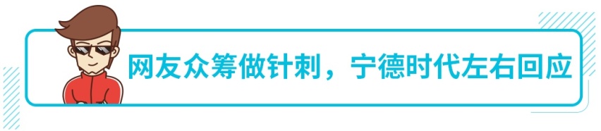 网友众筹做针刺打脸宁德时代？刀片电池和三元锂到底谁更强？