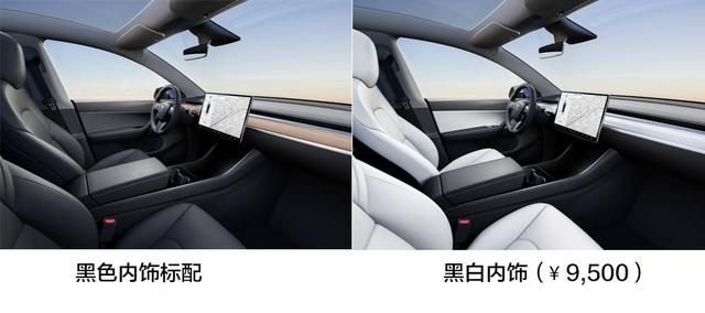 产期提前，续航提升！Model Y上市后怎么选？