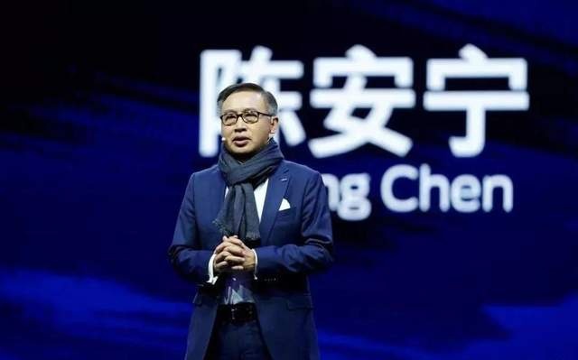 陈安宁：恶搞牛年为马年，福特中国底线在哪儿？