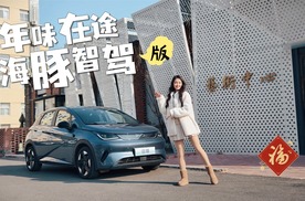 年味在途，团圆不远，比亚迪海豚智驾版伴你安心归家