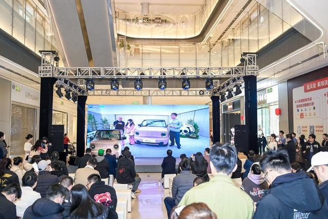 支持快充！吉利熊猫mini踢馆宏光MINI，3.99万起