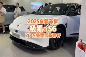 20万级智驾新选择，极狐阿尔法S6凭实力出圈