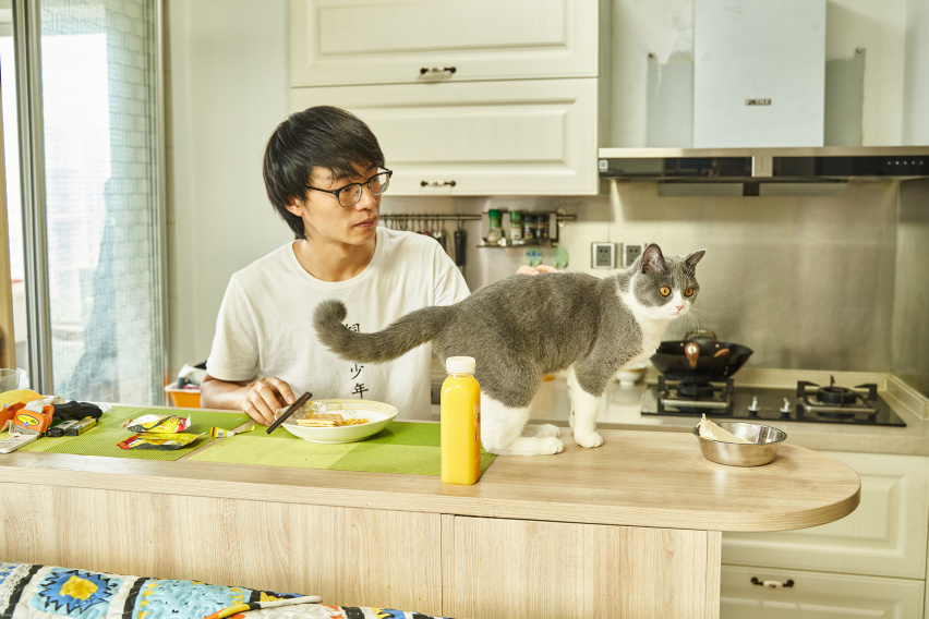 饲猫少年的业余生活和他的欧拉白猫