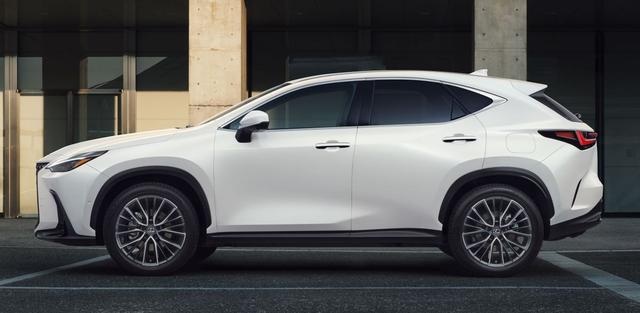 EVOS、凌放领衔，车企年底大冲刺？11月大量重磅新车来袭