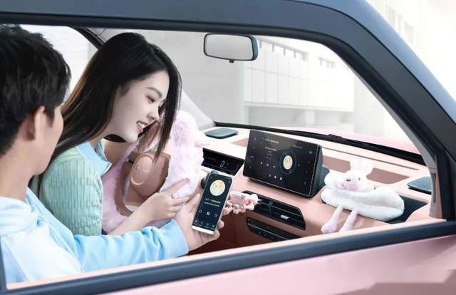微型+纯电，吉利熊猫mini的机会在哪里？