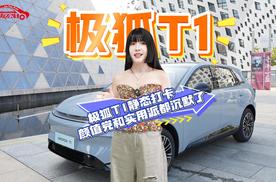 18寸轮毂+贯穿大灯！极狐T1静态打卡：颜值党和实用派都沉默了