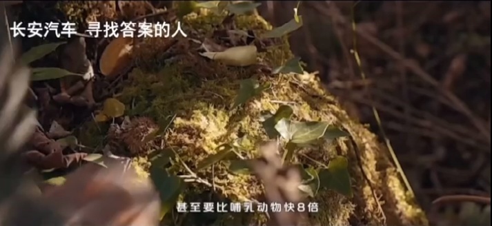 一汽奥迪再次抄袭文案，剽窃而来的高端人设还能立多久？