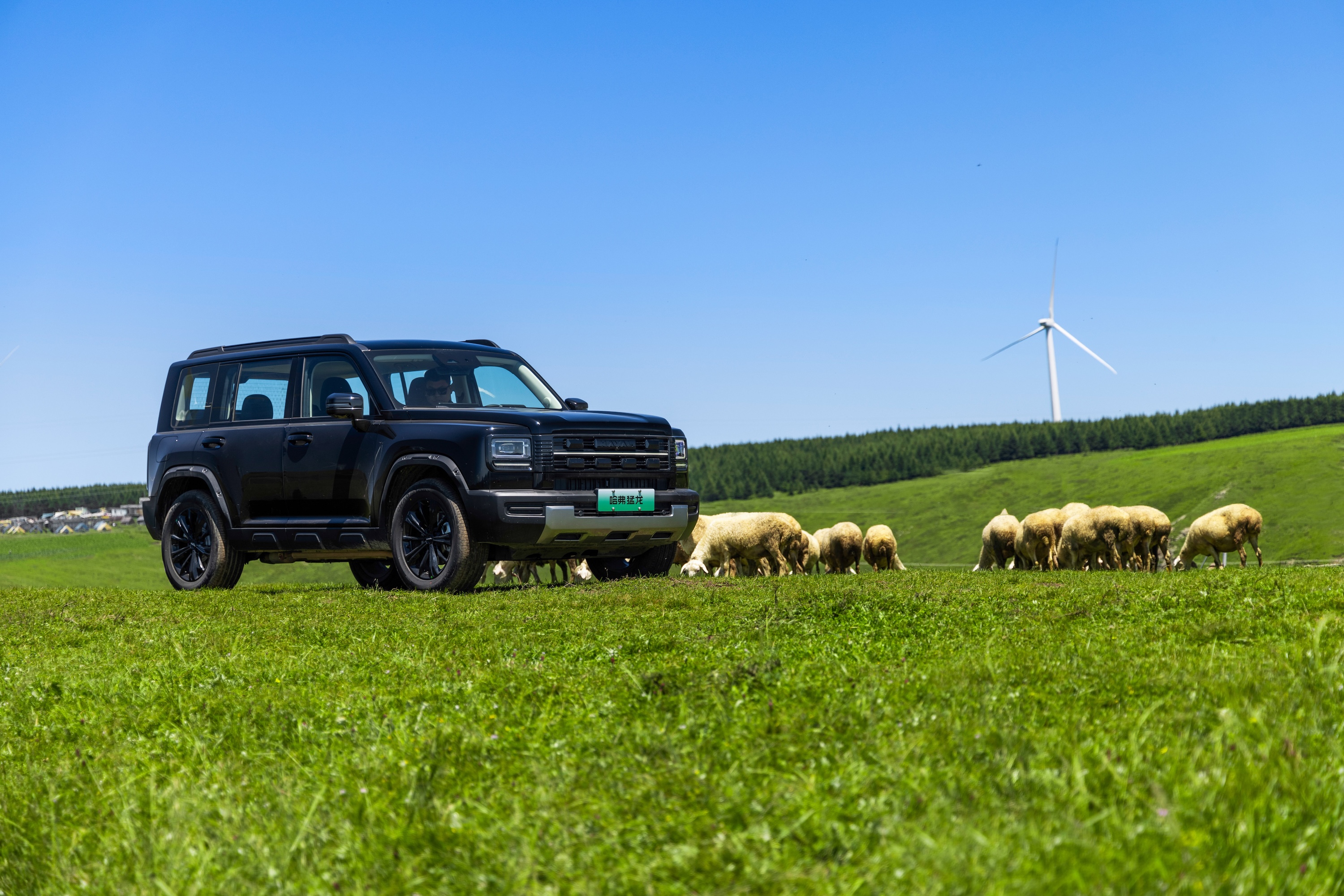 ��������2026�����У�����c�Ƽ����ܷ�������